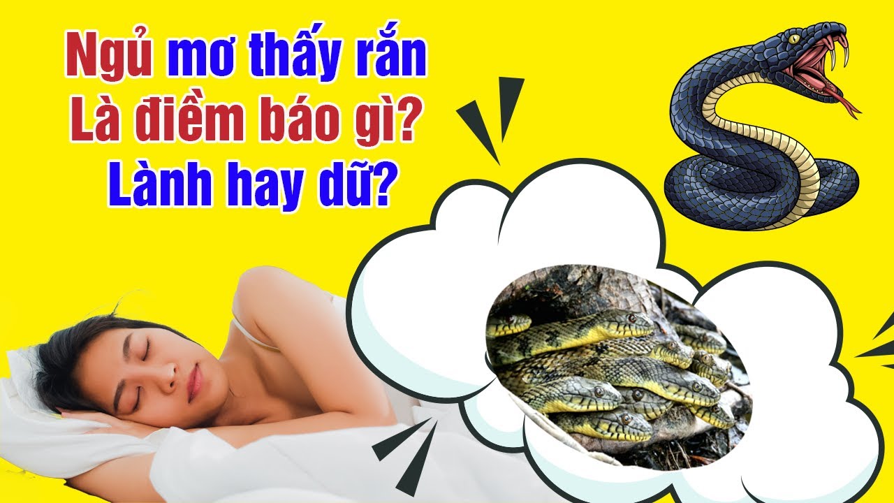 Nằm mơ thấy rắn đánh số gì - Khám phá bí ẩn giấc mơ và vận may